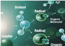 ʯӢɰ�V�����a(ch��n)�S����ʷ��