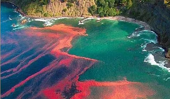 ���������V�ϏS��Ԕ��ˮ�w���I�B(y��ng)�����򡢷���ԭ���ͼ��g��ʩ