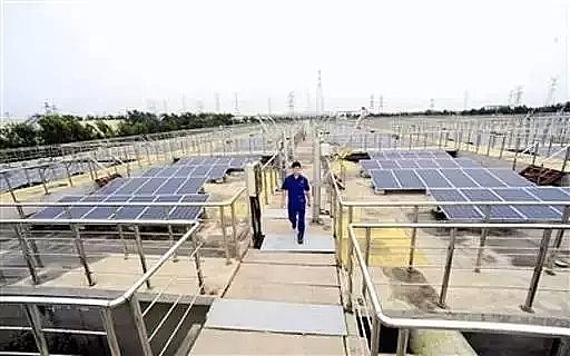 ����ʯӢɰ�V�����a(ch��n)�S��ȫ����ˮ̎��S����վ�������^20GW