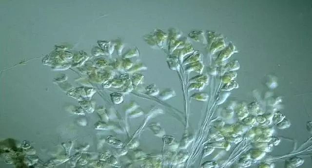 ��ĭ�V��V��EPS�S�ҹ��Iˮ̎�����g�ۻ����y���ܽ^���ƿ̲��ݾ�!