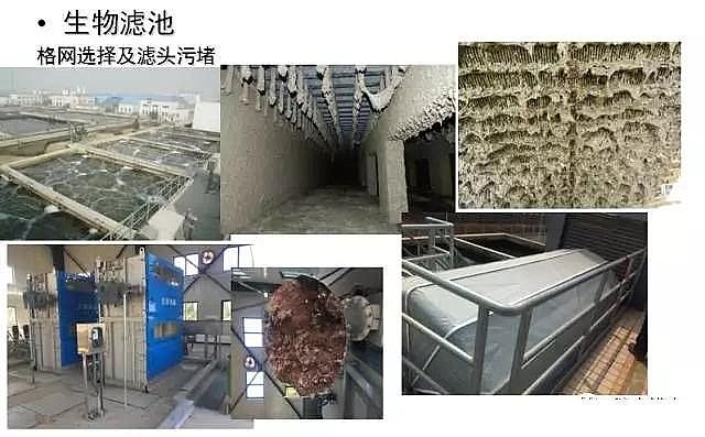 ϡ����ɰ�V�����a�S�Ҹ��ŷŘ˜�����ˮ̎���ļ��g�c���}