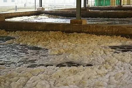 ��x�Ӿ۱�ϩ�����S���P(gu��n)��������Û�����@һƪ�͉���