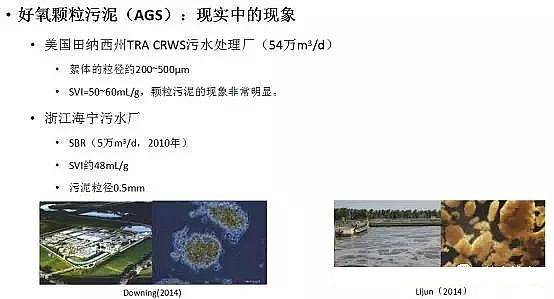 ��ˮ���ۺ��Ȼ��XPAC�S��δ����ˮ̎�����g(sh��)�İl(f��)չ��������