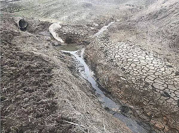 Ҭ������̿�S�҇���63�ǌ��ز��L��������ۿ�