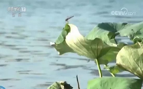 �iɰ�V�ϏS�Ҽӿ쾩�򼽵���ˮ��������