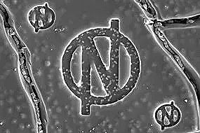 �Y(ji��)���Ȼ��X���a(ch��n)�S�ҬF(xi��n)�����ȼ��g(sh��)�O(sh��)�䌢�����10�����ˮ�SͶ��ʹ��