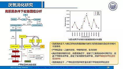 ��Ч�ۺ��Ȼ��X�FPAFC�S��������ˮ�S���|(zh��)��Ч����̎��̎�ü��g(sh��)����˼��
