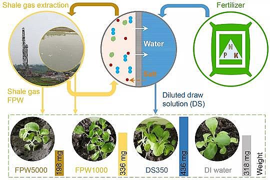 �h(hu��n)����ˮñ���a(ch��n)�S(ch��ng)�ҷ����(q��)��(d��ng)���B͸̎���(y��)�r���_(k��i)�ɏUˮ�����ڹ��