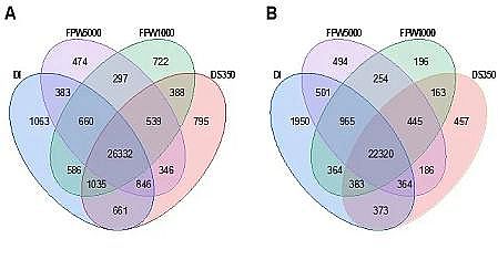 �h(hu��n)����ˮñ���a(ch��n)�S(ch��ng)�ҷ����(q��)��(d��ng)���B͸̎���(y��)�r���_(k��i)�ɏUˮ�����ڹ��