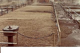 ��ʽ��x�Ӿ۱�ϩ����CPAM���a�S����ˮ�S����������＾��ˇ�{��