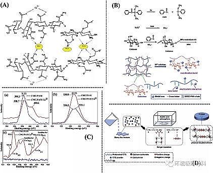 高品相粉狀活性炭生產(chǎn)廠家功能性生物水凝膠在環(huán)境污染物去除中的應(yīng)用
