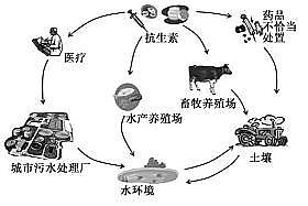 ���������͚��������a�S����Ȼˮ�h���п����ص���Ⱦ�F���Դ��Σ��