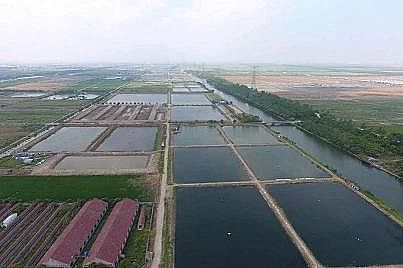 ��ʽ���w�������ϏS�����B(t��i)���B(y��ng)��βˮ�������A(y��)����������Ҧ̽��ˮ�a(ch��n)�B(y��ng)ֳ�Gɫ����֮·