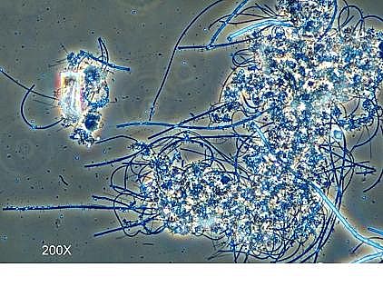 �h���۠����̿�S����ˮ�S����������Û�ļ��g����