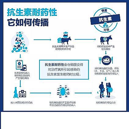 ���w��������Ƭ���a(ch��n)�S���¹����g�^(gu��)���������ܕ�(hu��)���ٳ���(j��)��(x��)���Ă���