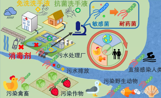 ���w��������Ƭ���a(ch��n)�S���¹����g�^(gu��)���������ܕ�(hu��)���ٳ���(j��)��(x��)���Ă���