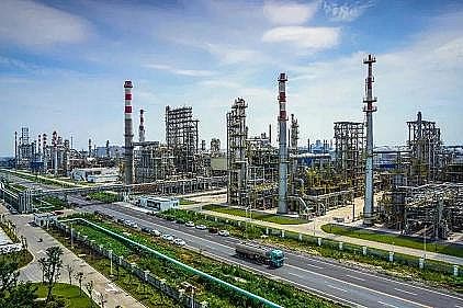 2021���Cб���������a(ch��n)�S������Mһ�����M���I(y��)�@�^(q��)��Ⱦ�ĵ���������