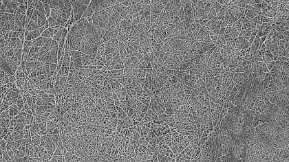 2021���iɰ�V�ϏS�ұ����_�R�{������W�о��ˆT�_�l��������Ĥ�����Á����xˮ����