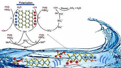 ��Ʒ��13X���ӺY���a�S�ҏV�|���I��WEnviron. Sci. Nano: MoS2�{�׻���늻�^һ�����}���Mˮ���ЙC��Ⱦ�ｵ��