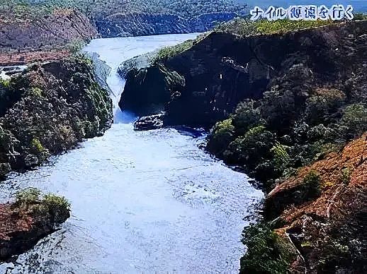 2021����������Ƭ�S�҈D��|���f������ˮ�����?�ձ����՛Q����ˮ�ź�!�@�����������״�