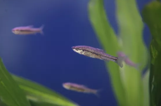 ��ʽ���������V�����a�S����ɽʯ����ˮ�����b��׌���ܺȵ���ˮ���Ă��f׃�ɬF��