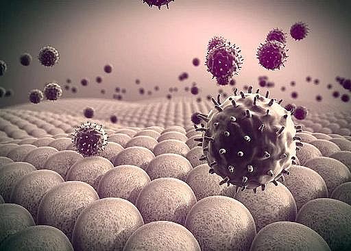 �o��ú�V��0.8-1mm�S���ձ��аl(f��)��߸߲���ȥ���ʺ͸�ͨ����ȫ�³��VĤ