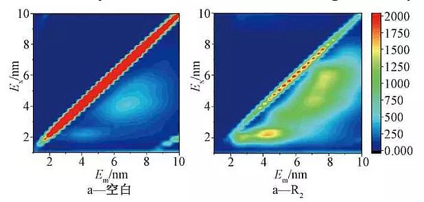 2021�������X�S�ҳ��ߜ��԰l(f��)������ѷ�̎�����������������^�����}�����Қ��w������΢����Ⱥ���Ӱ�