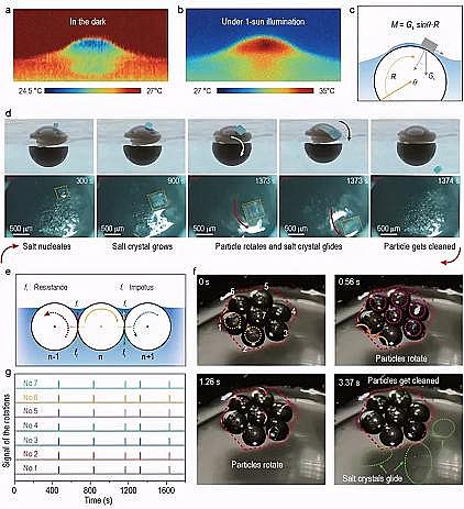 ���xú�|�w������̿���a�S�����~ȺЧ�����l��̫���ˮ�}���x����