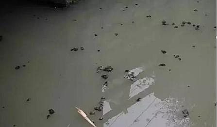 ���|(zh��)�����������X��?y��n)V�ϏS����ˮ̎���(bi��o)��(zh��n)��ˮ�|(zh��)�ȼ�