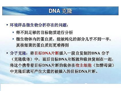 ���|�������͚��������a�S��һ���f͸������������ˇ