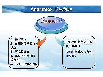 ���|�������͚��������a�S��һ���f͸������������ˇ