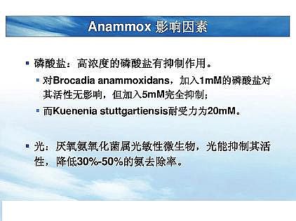 ���|�������͚��������a�S��һ���f͸������������ˇ