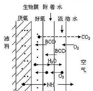 ���x�����ɽ�r�V�����a(ch��n)�S��ʲô������Ĥ?