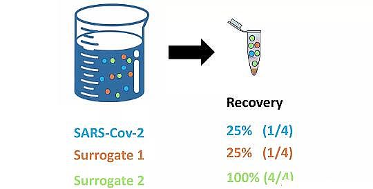 ��Ʒ�|�ۺ��Ȼ��F���a�S�ҡ�������36�N�z�y��ˮ���¹ڲ����������z�y��ˮ���Ը�ۙ�¹ڲ����Ă���څ��