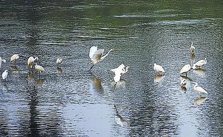 ���x���w�������ϏS��12.01�|������!��������ˮ��ʹ�ÿ����B�m(x��)����ȫ��(gu��)��һ