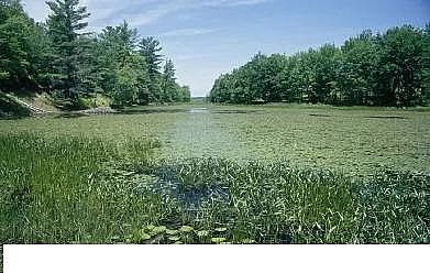 �Ϻ�13X���ӺY�S����ˮ̎���Ɍ��F���B���к͡�