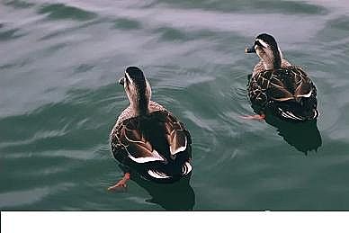 �ϵ�3A���ӺY���a(ch��n)�S���YԴ���գ���(sh��)�F(xi��n)�ɳ��m(x��)ˮ�c��ˮ̎������Ч;��