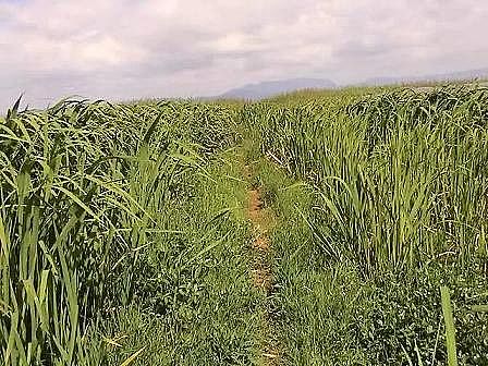 �ϵ������ɽ�r�V�ϏS�ҽ��x|���˹����ˮ�|(zh��)�������g(sh��)ָ�ϡ�����˼·�c�wϵ