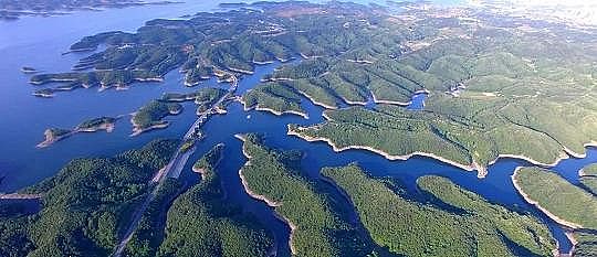 �ϵȷ��x�Ӿ۱�ϩ����NPAM�S�������h����˾�����¡����Ƿ��A������4�f����!�������}��ν��}?