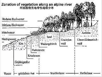 �Ϻ�ʯӢɰ�V�ϏS�ҵ�(gu��)�ӵ��Ľ���Ȼ�ޏ�(f��)��(sh��)�`