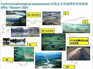 �Ϻ�ʯӢɰ�V�ϏS�ҵ�(gu��)�ӵ��Ľ���Ȼ�ޏ�(f��)��(sh��)�`