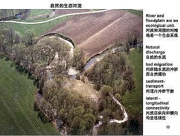 �Ϻ�ʯӢɰ�V�ϏS�ҵ�(gu��)�ӵ��Ľ���Ȼ�ޏ�(f��)��(sh��)�`