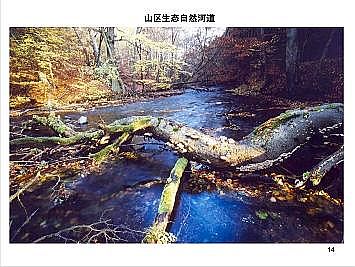 �Ϻ�ʯӢɰ�V�ϏS�ҵ�(gu��)�ӵ��Ľ���Ȼ�ޏ�(f��)��(sh��)�`