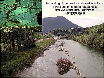 �Ϻ�ʯӢɰ�V�ϏS�ҵ�(gu��)�ӵ��Ľ���Ȼ�ޏ�(f��)��(sh��)�`