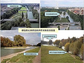 �Ϻ�ʯӢɰ�V�ϏS�ҵ�(gu��)�ӵ��Ľ���Ȼ�ޏ�(f��)��(sh��)�`