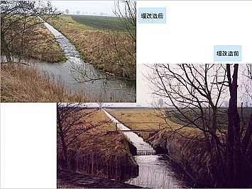 �Ϻ�ʯӢɰ�V�ϏS�ҵ�(gu��)�ӵ��Ľ���Ȼ�ޏ�(f��)��(sh��)�`