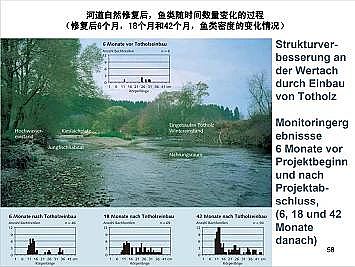 �Ϻ�ʯӢɰ�V�ϏS�ҵ�(gu��)�ӵ��Ľ���Ȼ�ޏ�(f��)��(sh��)�`