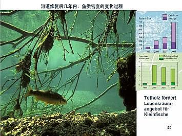 �Ϻ�ʯӢɰ�V�ϏS�ҵ�(gu��)�ӵ��Ľ���Ȼ�ޏ�(f��)��(sh��)�`