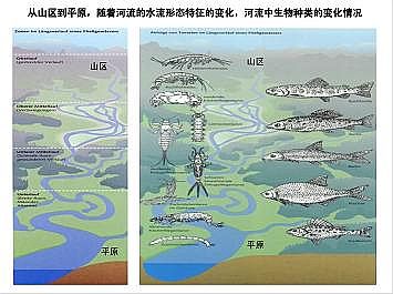 �Ϻ�ʯӢɰ�V�ϏS�ҵ�(gu��)�ӵ��Ľ���Ȼ�ޏ�(f��)��(sh��)�`