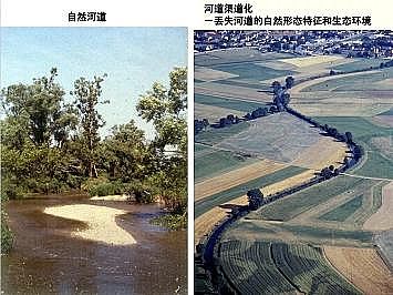 �Ϻ�ʯӢɰ�V�ϏS�ҵ�(gu��)�ӵ��Ľ���Ȼ�ޏ�(f��)��(sh��)�`